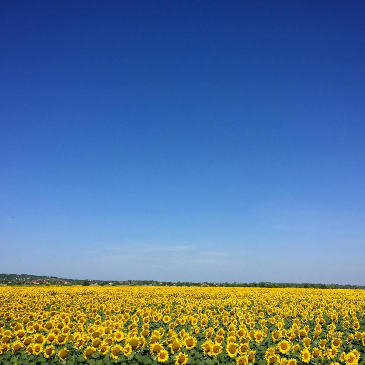 Tämä on nyt nuoren lesken&nbsp;blogi